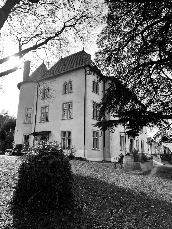 Bed And Breakfast Le Chateau De Morey Belleau Kültér fotó